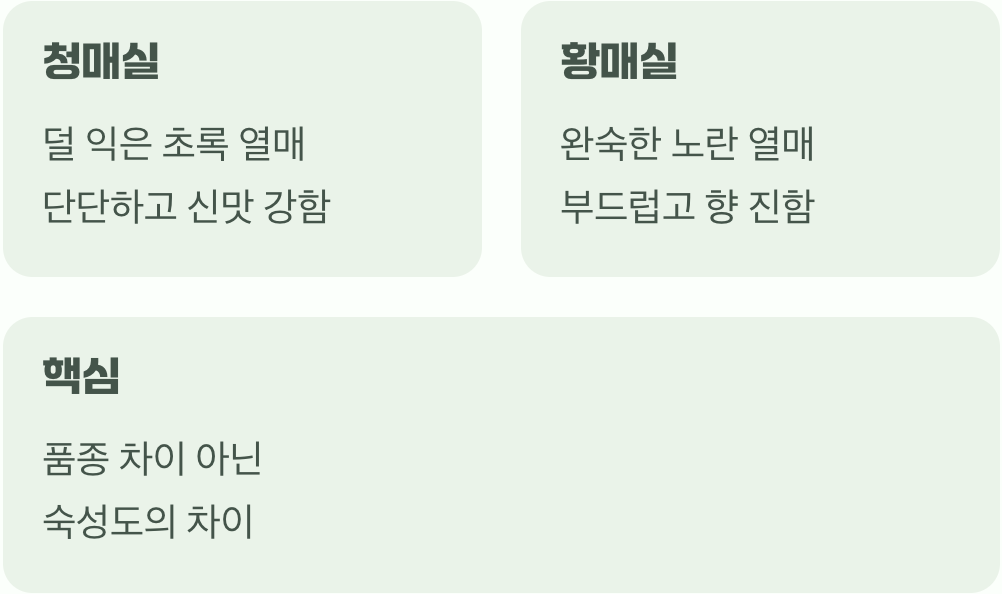 푸른 보석과 황금빛 과실, 둘은 다른 나무일까?
