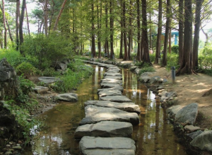 샤스타데이지 카페명소 BEST 5곳