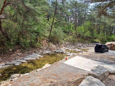 캠프오어즈-법흥계곡