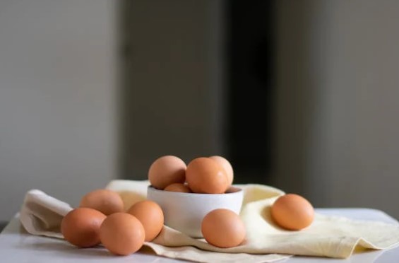 계란 보관 방법