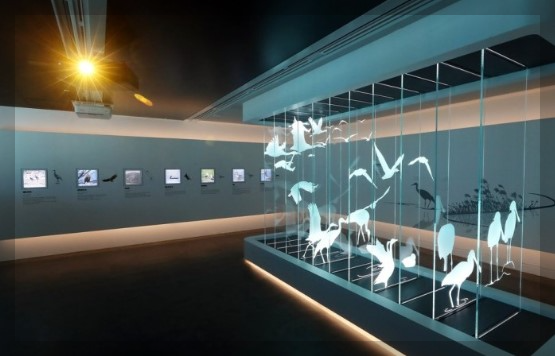 애기봉평화생태공원