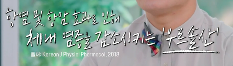 링곤베리 효능