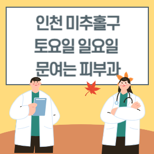 인천 미추홀구 토요일 일요일 피부과 진료 병원 리스트