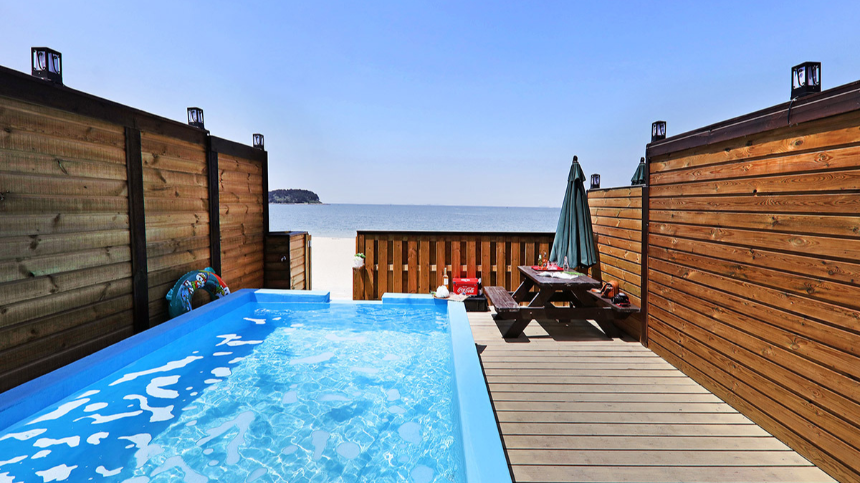 신안 퍼플섬 여행 가이드 - 보랏빛 낭만 속으로!