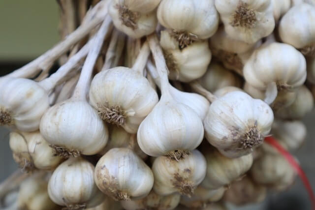 농어민수당 신청 방법