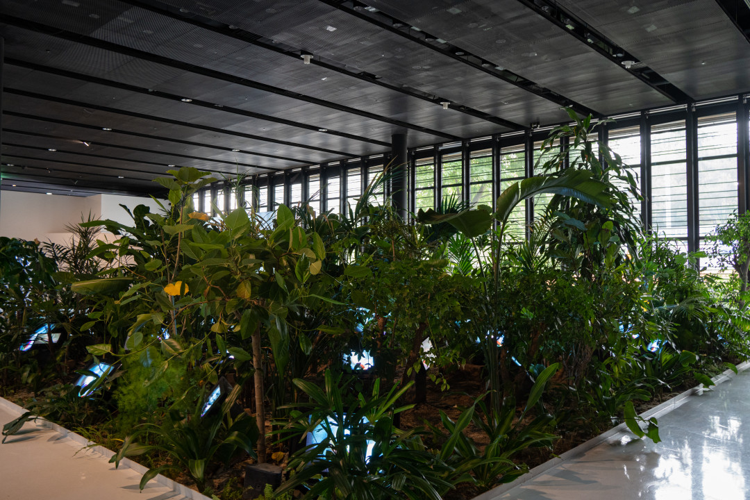 백남준 아트센터 TV정원