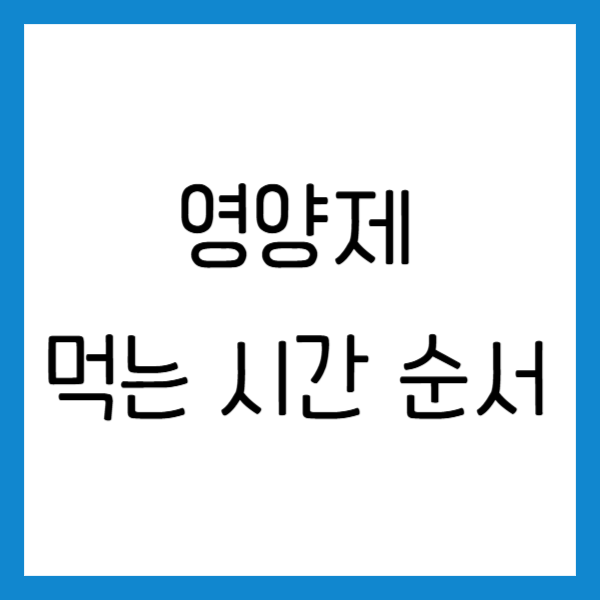 영양제 먹는 시간