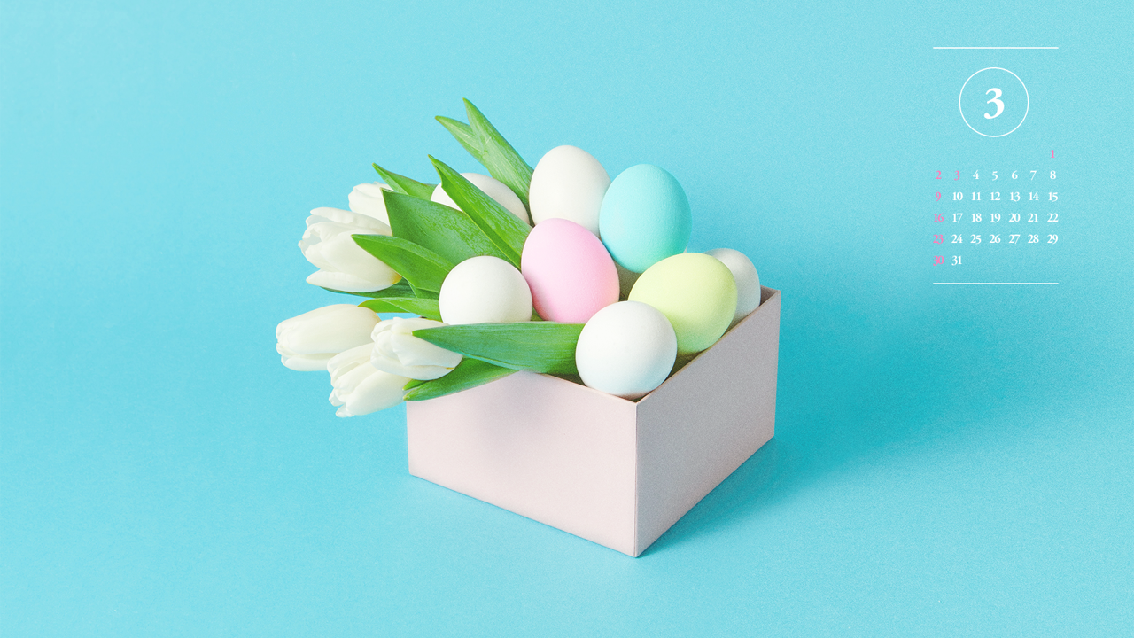 06 튤립과 계란 A - 2025년3월 노트북배경화면