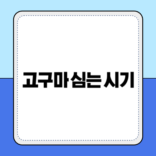 고구마 심는 시기
