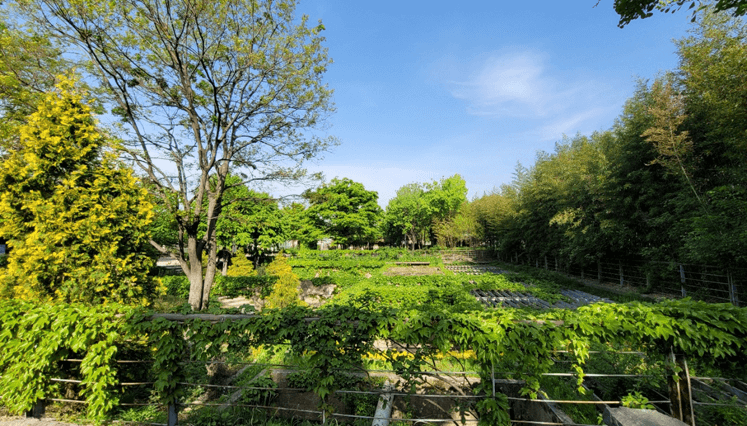 2024 별 헤는 서울숲 예약하기