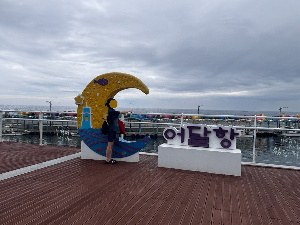 묵호항 대신 어달항을 바라보게 되는 이유 🌊