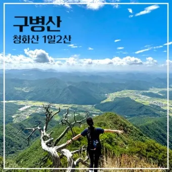 충북 보은 구병산 최단 등산코스 난이도 거리 정보 정리_19