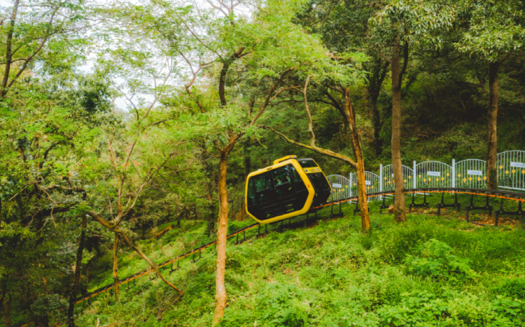 강화 화개산 모노레일