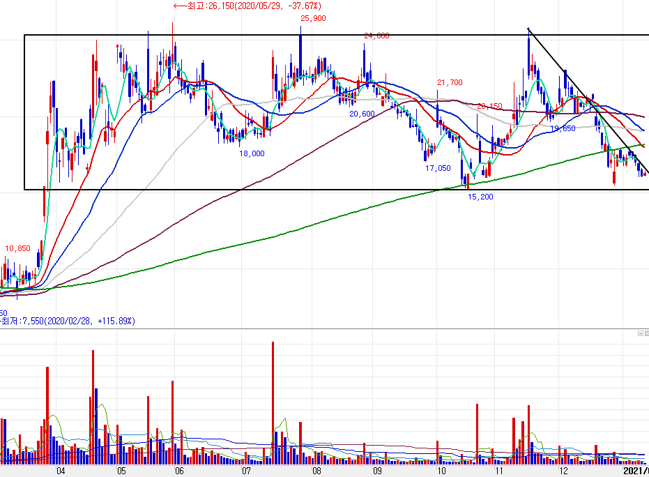 파미셀 일봉 차트 분석