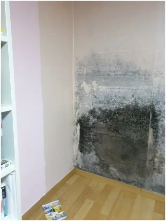 곰팡이 냄새 빨래통 환기와 햇빛 건조 베이킹소다 뿌리기_15