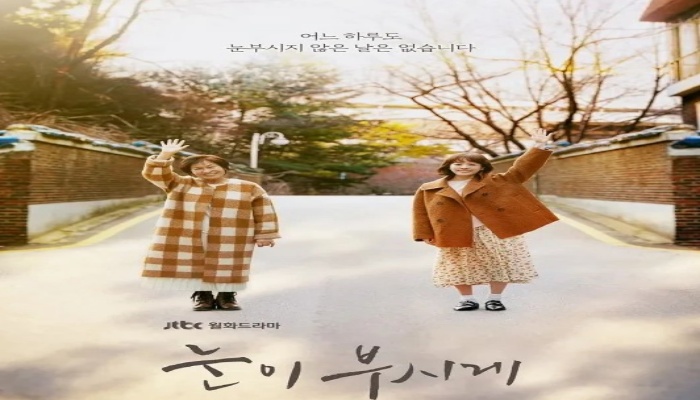 치매노인을 다룬 드라마 "눈이부시게" 김혜자배우의 인생작