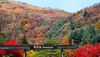 화담숲 입장료 할인 받는 법부터 예매 꿀팁까지는 총정리_21