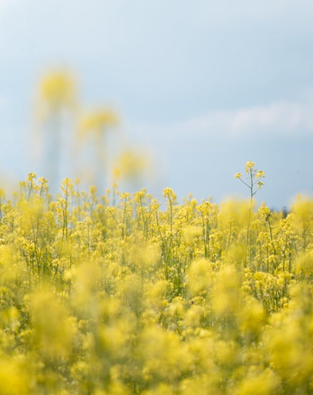 경상남도 4월 축제모음