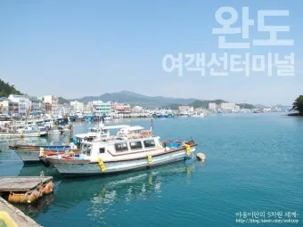 완도 여객선터미널 시간표 운항 예매 주차 요금_21