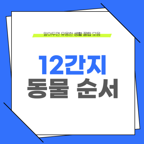 12간지 동물 순서 알아보기 자축인묘 진사오미 신유술해 꾸러기수비대 노래