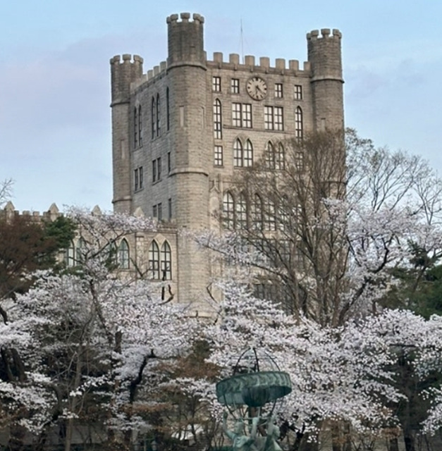 서울 벚꽃 명소 추천 베스트10 여의도 윤중로 석촌호수 서울숲 경희대학교 캠퍼스 남산공원 & 남산도서관 앞 창경궁 양재천 북서울 꿈의숲 안양천 벚꽃길 한성대입구 낙산공원