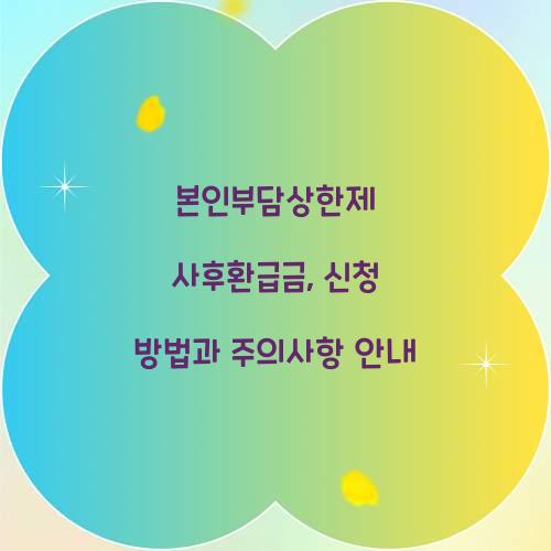 본인부담상한제 사후환급금