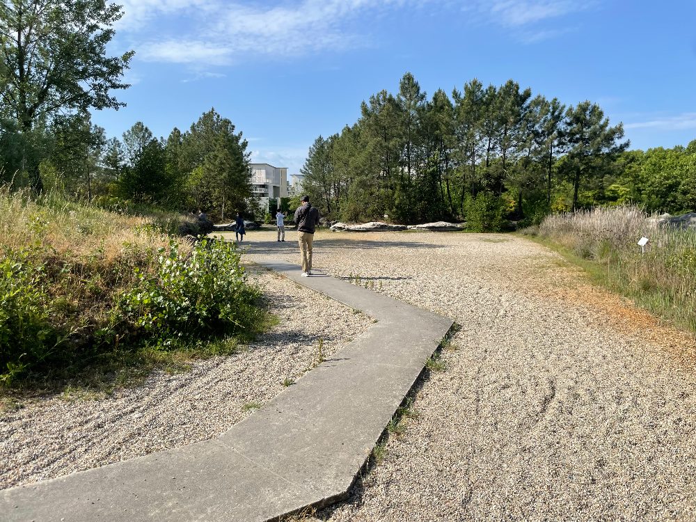 보르도 식물원 - 1. 젖은 초원