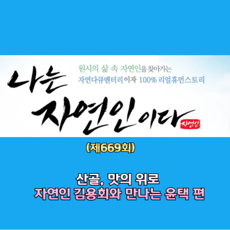 나는자연인이다 메인