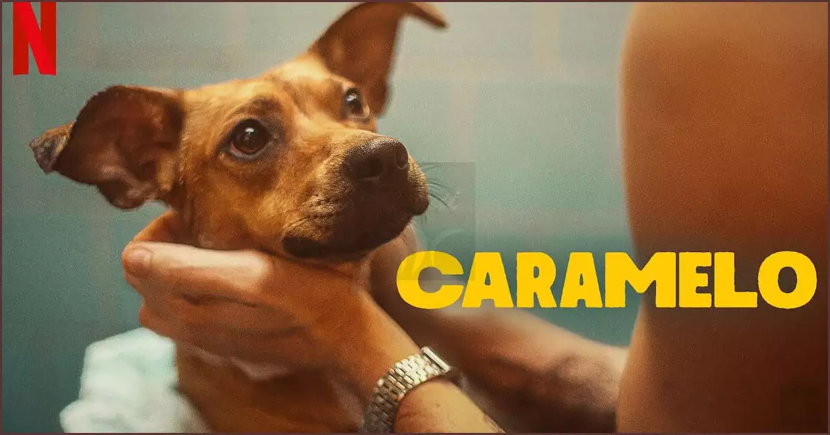 사랑스런 카라멜루의 눈빛