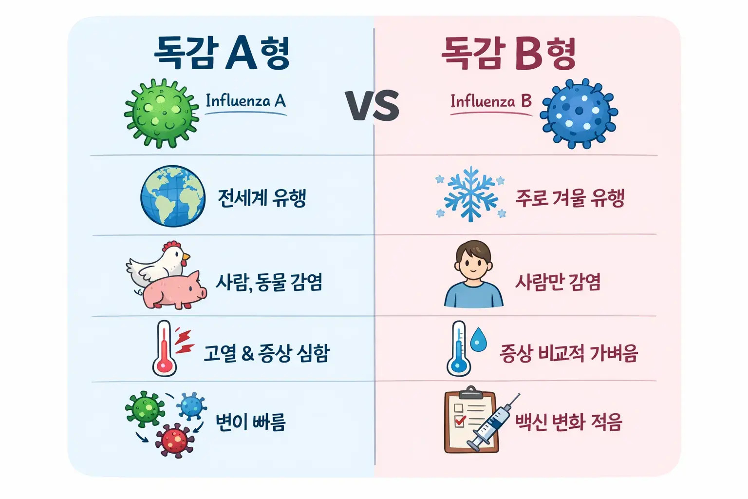 독감 a형 b형 증상차이 비교 인포그래픽