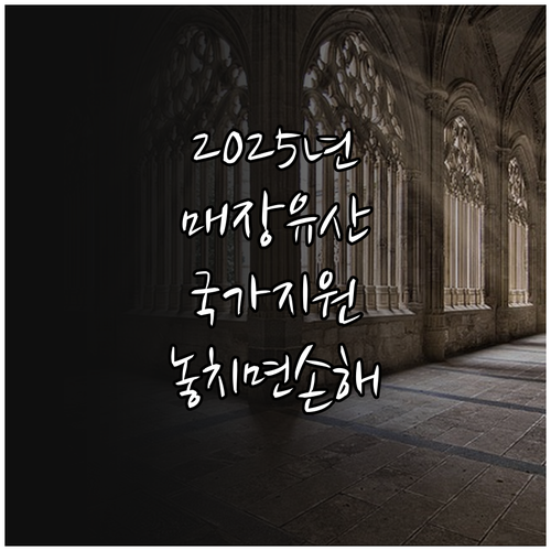 2025년 놓치면 손해! 매장유산 발..
