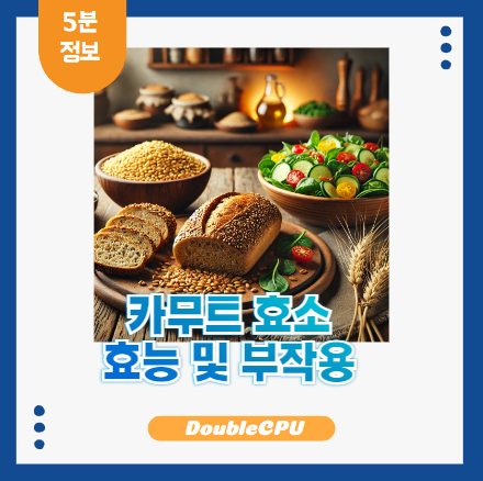 카무트 효소