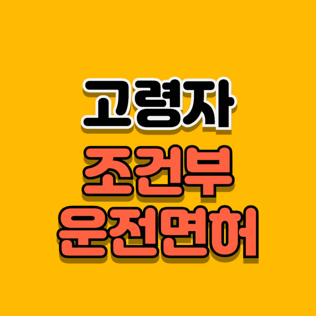 조건부 운전면허