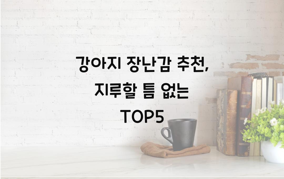 강아지 장난감 추천, 지루할 틈 없는 BEST5