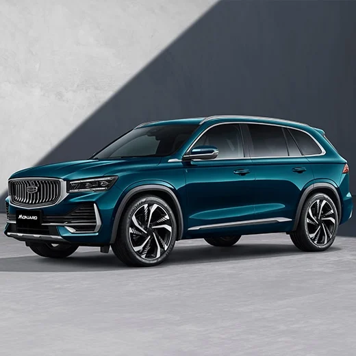 그랑 콜레오스 중국차