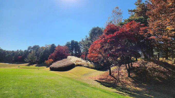 여주시 '솔모로 컨트리클럽' 소개 및 예약방법