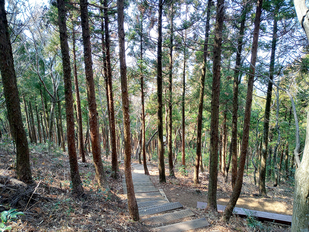 제주살이 #02: 고근산(孤根山&#44; Gogeunsan)