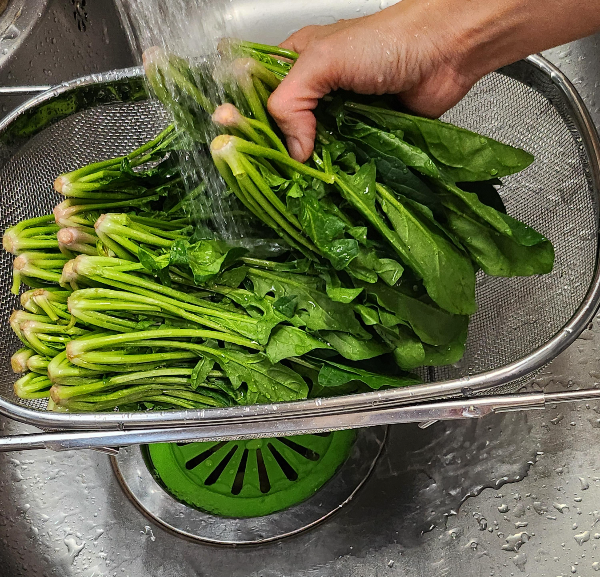 시금치 손질
