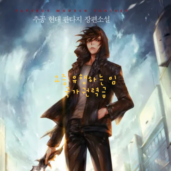 요즘유행하는밈 국가권력급