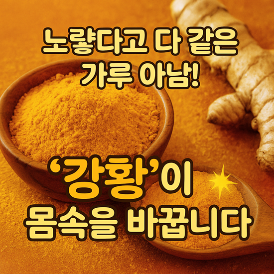 강황가루 효능
