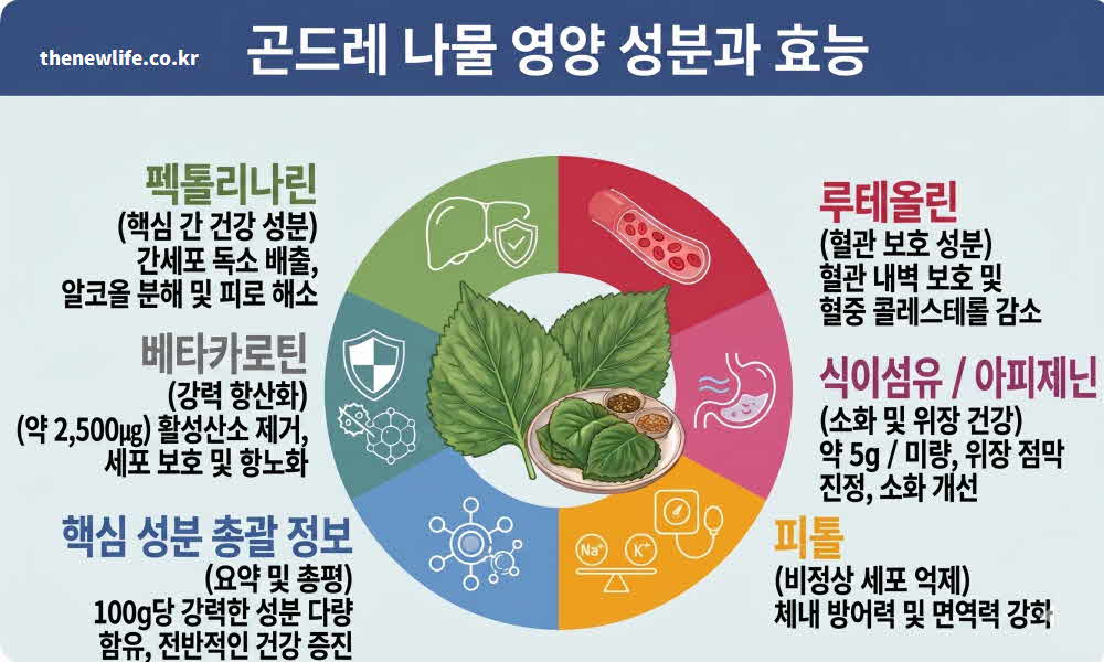 곤드레 나물 효능 영양성분