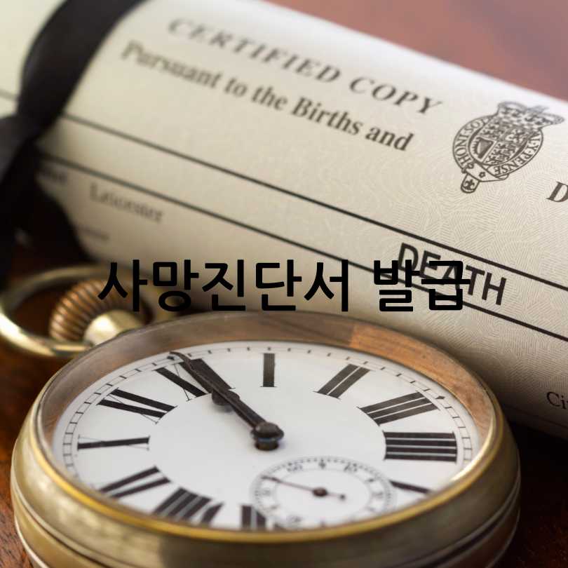 장례식 과정과 절차