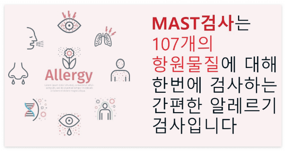 알레르기 마스트 검사