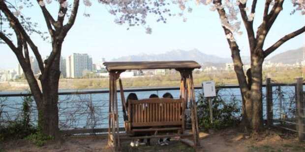 2025 석촌호수 벚꽃축제