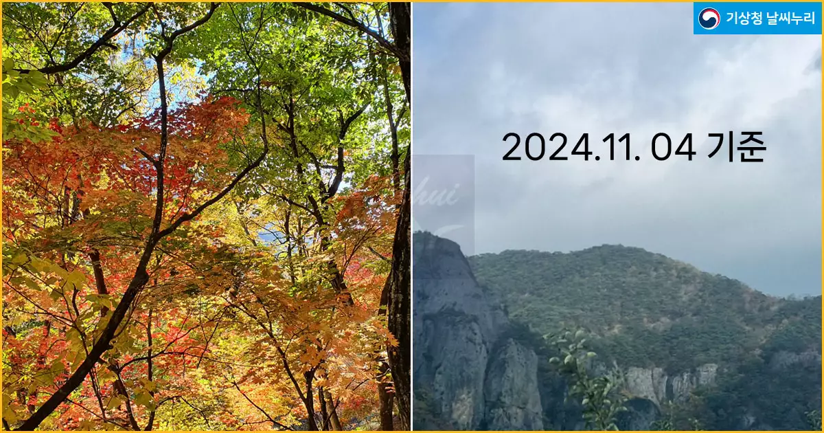 2024.11.04 주왕산 단풍현황