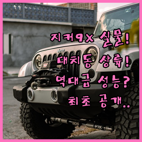 지커 9X 대치동 전시차 체험 후기 ..