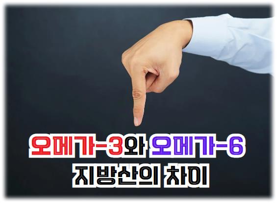 오메가-3와 오메가-6 지방산의 차이