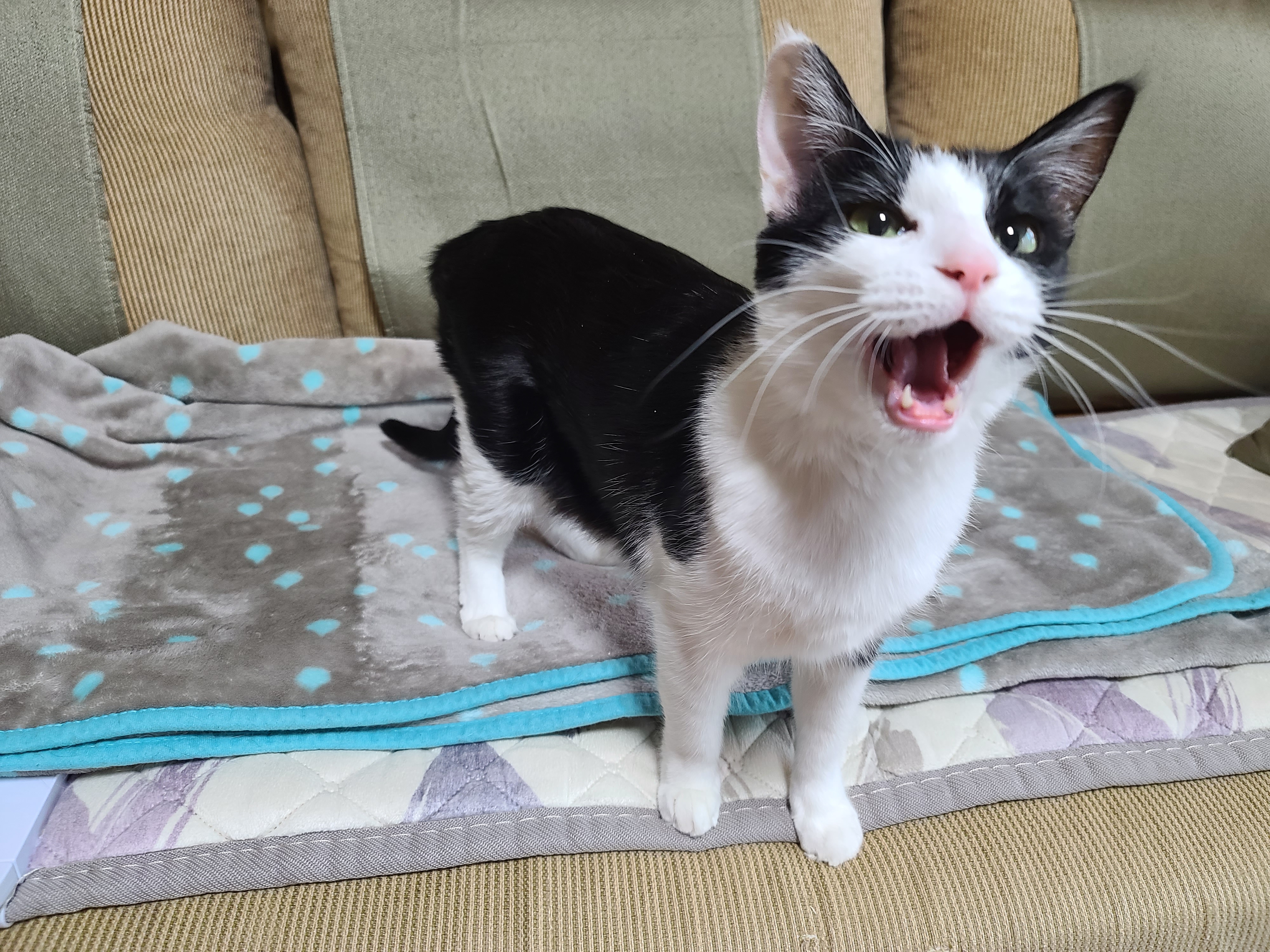 엄마랑 둘이 있어 기분이 좋은 두리