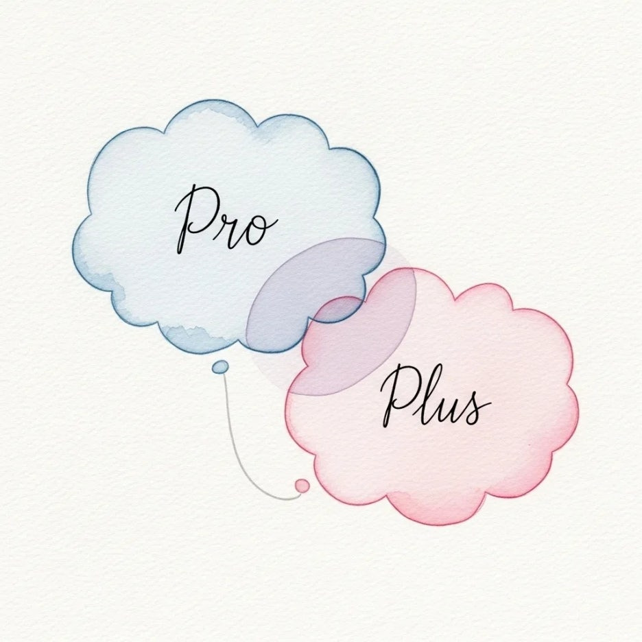 프로와 플러스 버전의 차이를 나타내는 비교 이미지.