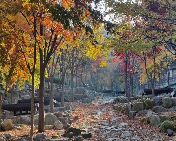 비슬산 자연휴양림_14